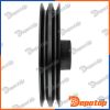 Poulie damper vilebrequin pour MITSUBISHI | RKP-MS-021, 06223